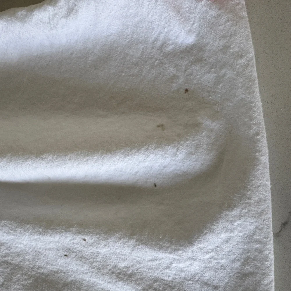 See by Chloé White Drawstring Bag with Pink Cords - Picture 4 of 8